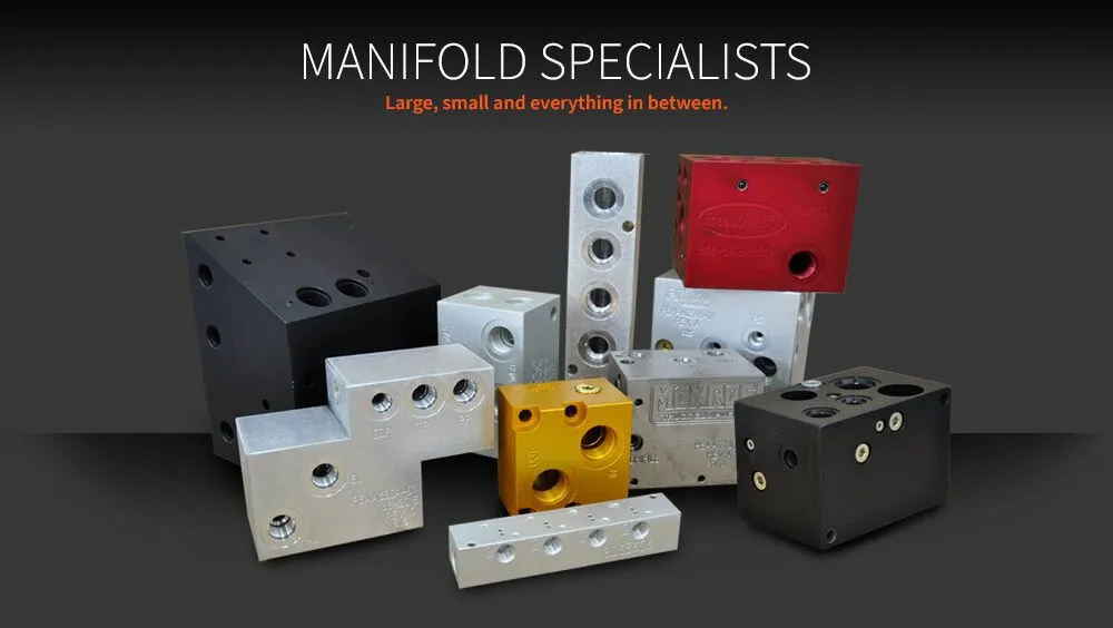 several manifolds